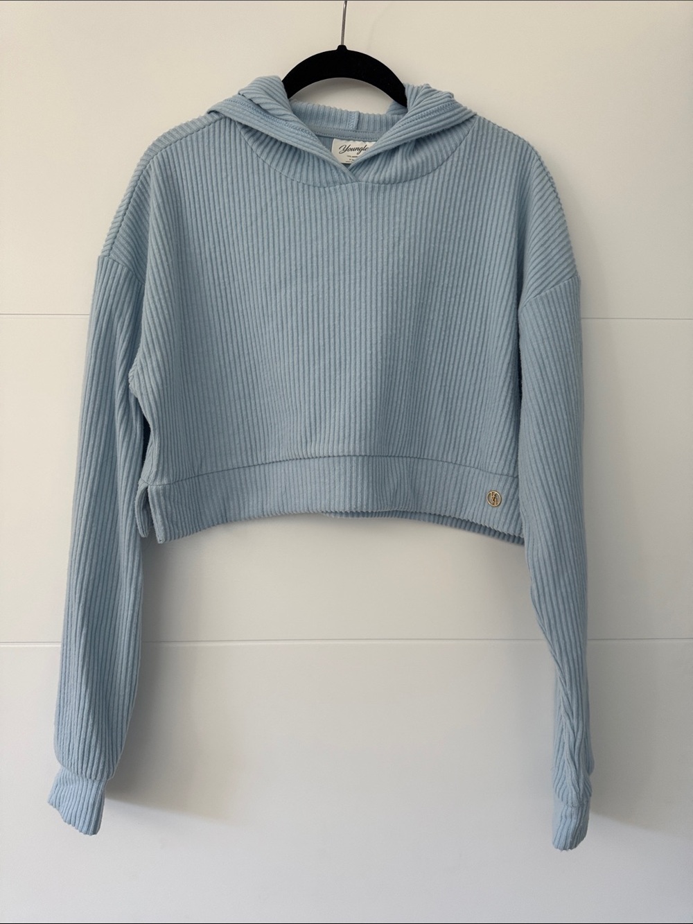Youngla Ribbed Cropped Hoodie in Blue Size XS